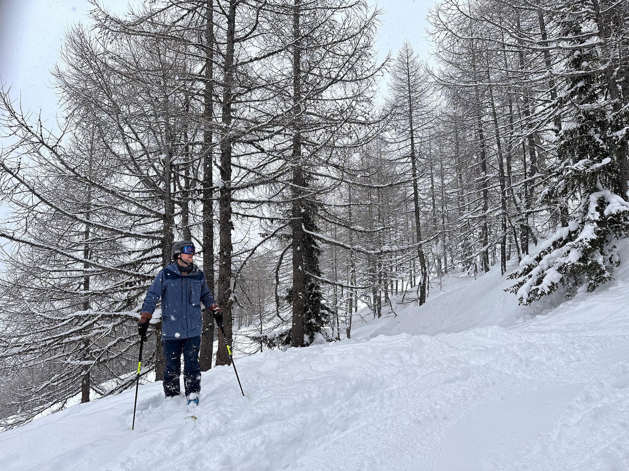 Skinning through the snowy forest above Chamonix
