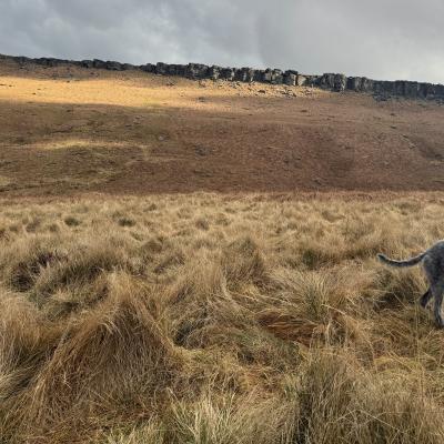 /images/gallery/IMG_2177