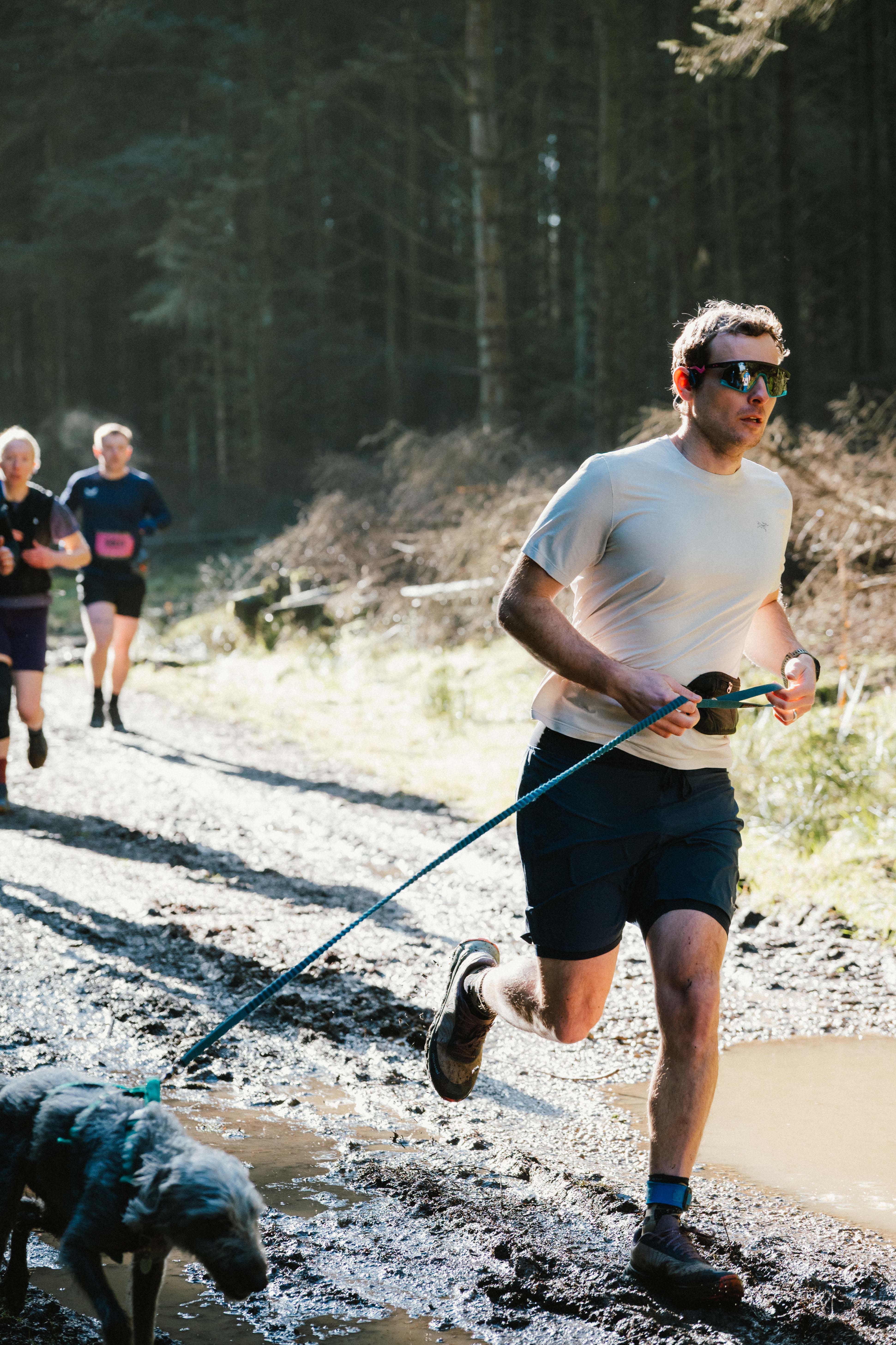 Running through the forest trails in dappled sunlight